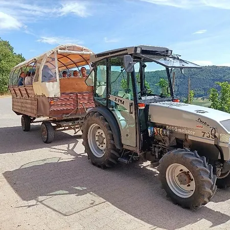 Weingut Lindenhof 3*