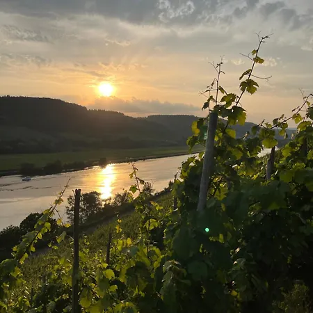 Maison d'hôtes Weingut Lindenhof