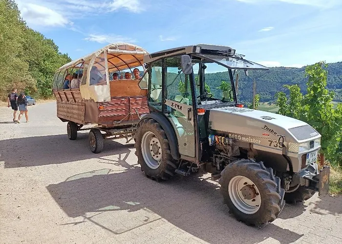 Weingut Lindenhof 3*